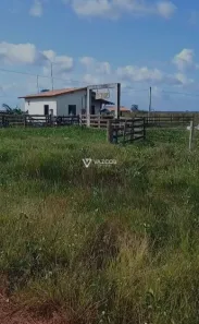 com 3 Quartos à venda, 1m² no Zona Rural, Cachoeira do Arari