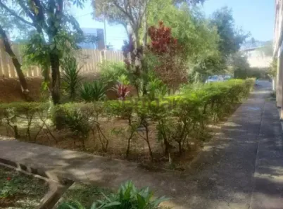 Apartamento com 3 Quartos para alugar, 80m² no Santa Amélia, Belo Horizonte