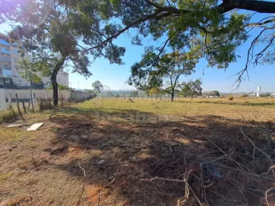 Lote/Terreno à venda, 8000m² no Vila São Judas Tadeu, São José do Rio Preto