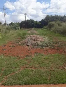 Lote/Terreno para alugar, 217m² no Jardim Cristo Redentor, Ribeirão Preto