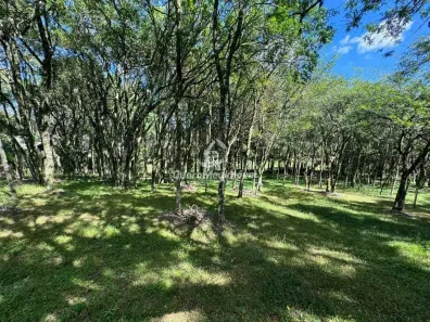 Lote/Terreno à venda, 10000m² no São Ciro, Caxias do Sul