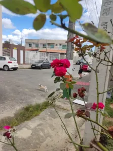 Apartamento com 4 Quartos à venda, 300m² no Centro, Camboriú