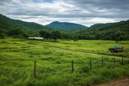 Fazenda/Sítio com 3 Quartos à venda, 2178000m² no , Jussara