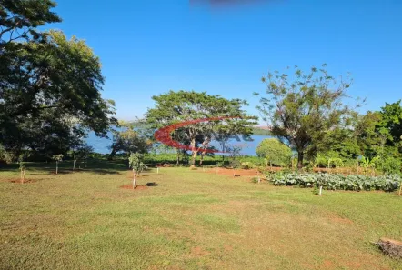 Fazenda/Sítio com 4 Quartos à venda, 1m² no Área Rural de Bariri, Bariri