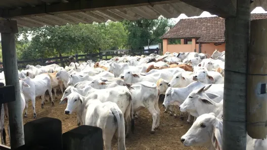 Fazenda/Sítio com 1 Quarto à venda, 1404000m² no Centro, Iguaba Grande