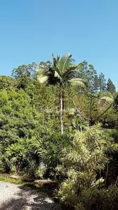 Lote/Terreno à venda, 210405m² no Tomaz Coelho, Brusque