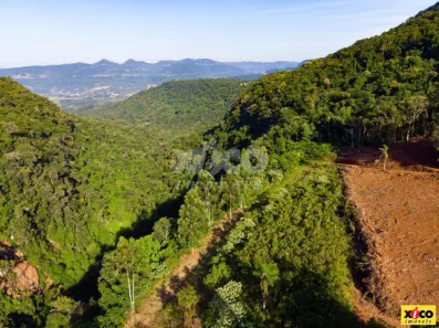 Fazenda/Sítio com 1 Quarto à venda, 5000m² no Fazenda Pirajá, Nova Petrópolis