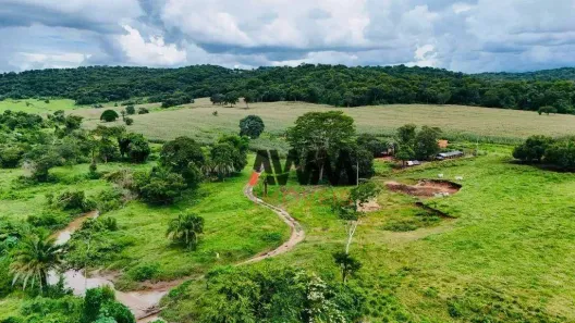 Fazenda/Sítio à venda, 968000m² no , Pontalina