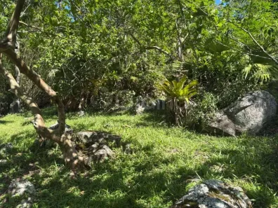 Lote/Terreno à venda, 21407m² no Itacorubi, Florianópolis