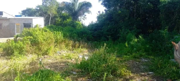Lote/Terreno à venda, 286m² no , Itanhaém