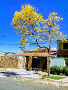 Casa com 3 Quartos à venda, 350m² no Nova Campinas, Campinas