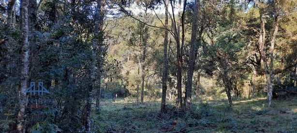 Lote/Terreno à venda, 27000m² no Santo Antônio, Urubici