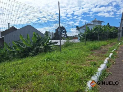 Lote/Terreno à venda, 390m² no Primavera, Novo Hamburgo