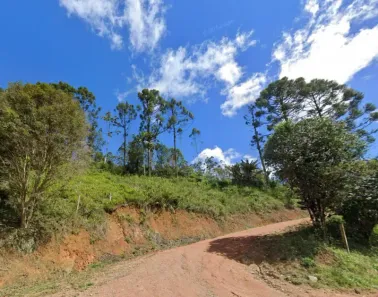 Fazenda/Sítio à venda, 86390m² no Benedito Novo, Benedito Novo