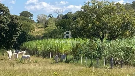 Fazenda/Sítio com 3 Quartos à venda, 160m² no , Poconé