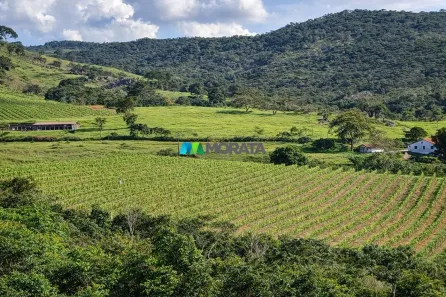Fazenda/Sítio com 1 Quarto à venda, 260m² no Pedro Lessa, Serro