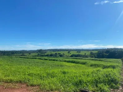 Fazenda/Sítio com 3 Quartos à venda, 484000m² no Centro, Jaci
