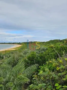 Lote/Terreno à venda, 5000m² no , Santa Cruz Cabrália