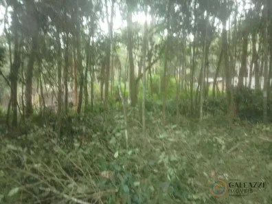 Lote/Terreno à venda, 750m² no Ressaca, Cotia