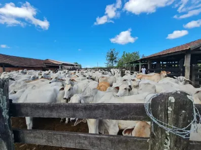 Fazenda/Sítio à venda, 1258400m² no Centro (São Vicente), Araruama