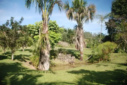 Lote/Terreno à venda, 15935m² no Pitas, Cotia