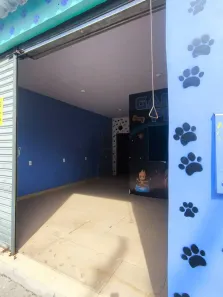 Ponto Comercial com 1 Quarto para alugar, 38m² no Tarumã, Manaus