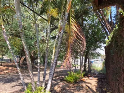 Casa com 2 Quartos à venda, 149m² no Parque das Universidades, Campinas