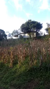 Fazenda/Sítio com 3 Quartos à venda, 30000m² no , Pedralva