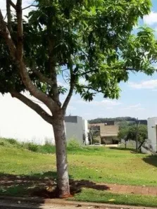 Lote/Terreno à venda, 330m² no Esperança, Londrina