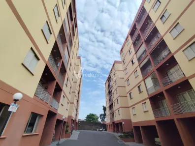 Apartamento com 3 Quartos à venda, 78m² no Jardim Paulicéia, Campinas