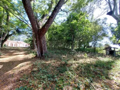 Lote/Terreno à venda, 300m² no Jardim Colônia, Jacareí