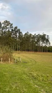 Lote/Terreno à venda, 1000m² no Estacao de Moreiras, Mairinque