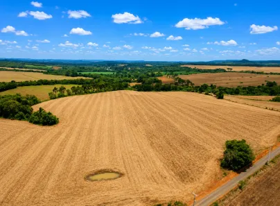 Fazenda/Sítio com 1 Quarto à venda, 4480300m² no , Lapa