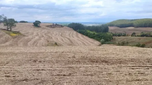 Fazenda/Sítio à venda, 2226400m² no , São Pedro do Ivaí