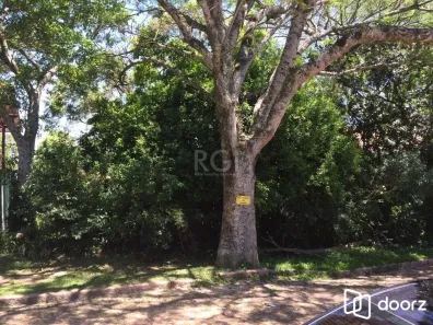 Lote/Terreno à venda, 451m² no Teresópolis, Porto Alegre