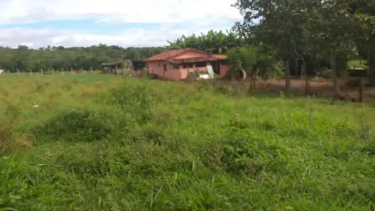 Fazenda/Sítio à venda, 4m² no , São Miguel do Passa Quatro