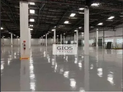 Galpão/Depósito/Armazém para alugar, 9507m² no Vila Ribeiro de Barros, São Paulo