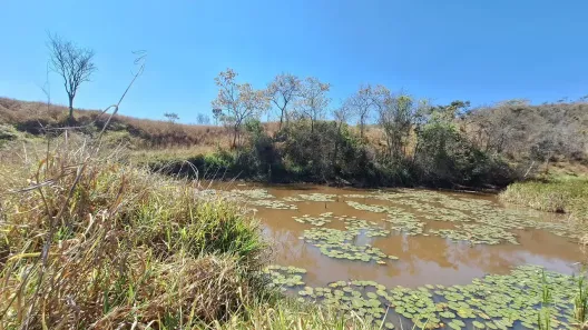 Fazenda/Sítio à venda, 20000m² no , Cachoeira da Prata