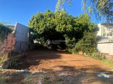 Lote/Terreno à venda, 429m² no Pátria Nova, Novo Hamburgo
