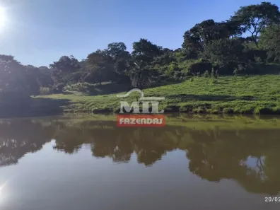 Fazenda/Sítio à venda, 500m² no , Faina