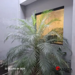 Sobrado com 5 Quartos para alugar, 220m² no Jardim Anália Franco, São Paulo