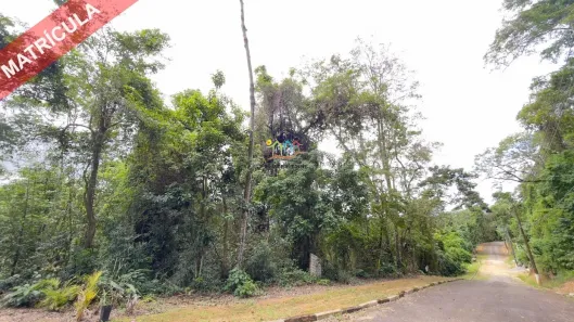 Lote/Terreno à venda, 1000m² no Feiticeira (Cambaquara), Ilhabela