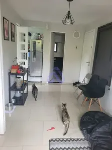 Apartamento com 2 Quartos à venda, 39m² no Jardim Dayse, Ferraz de Vasconcelos