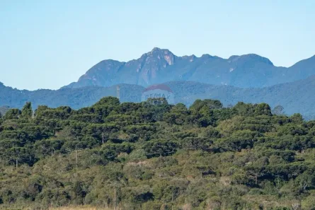 Lote/Terreno à venda, 1293m² no Jardim Karla, Pinhais