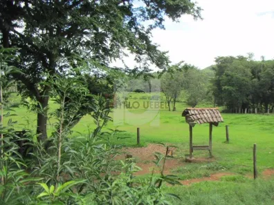Fazenda/Sítio com 2 Quartos à venda, 100m² no Rincão do Cascalho, Portão