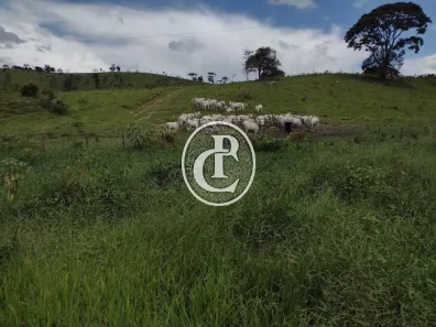 Fazenda/Sítio com 5 Quartos à venda, 498m² no Área Rural de Guaratinguetá, Guaratinguetá