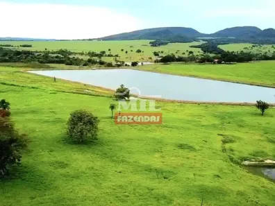 Fazenda/Sítio à venda, 500m² no , Jandaia
