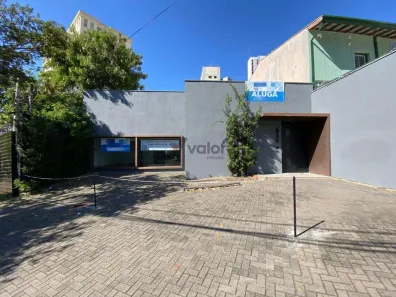 Ponto Comercial para alugar, 246m² no Cambuí, Campinas