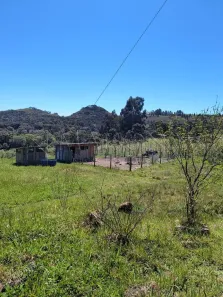 Fazenda/Sítio com 3 Quartos à venda, 84348m² no Centro, Bom Jardim da Serra