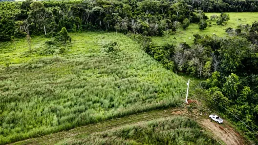 Fazenda/Sítio à venda, 22000m² no Rural, Nerópolis